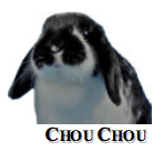 Chou Chou from Rabbit Bites