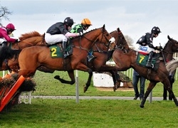 Competition - Horse Racing