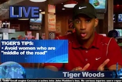 Sports Ballz - Tiger Woods