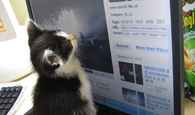 Americans Watched a Record 10 Billion Online Video Ads in May