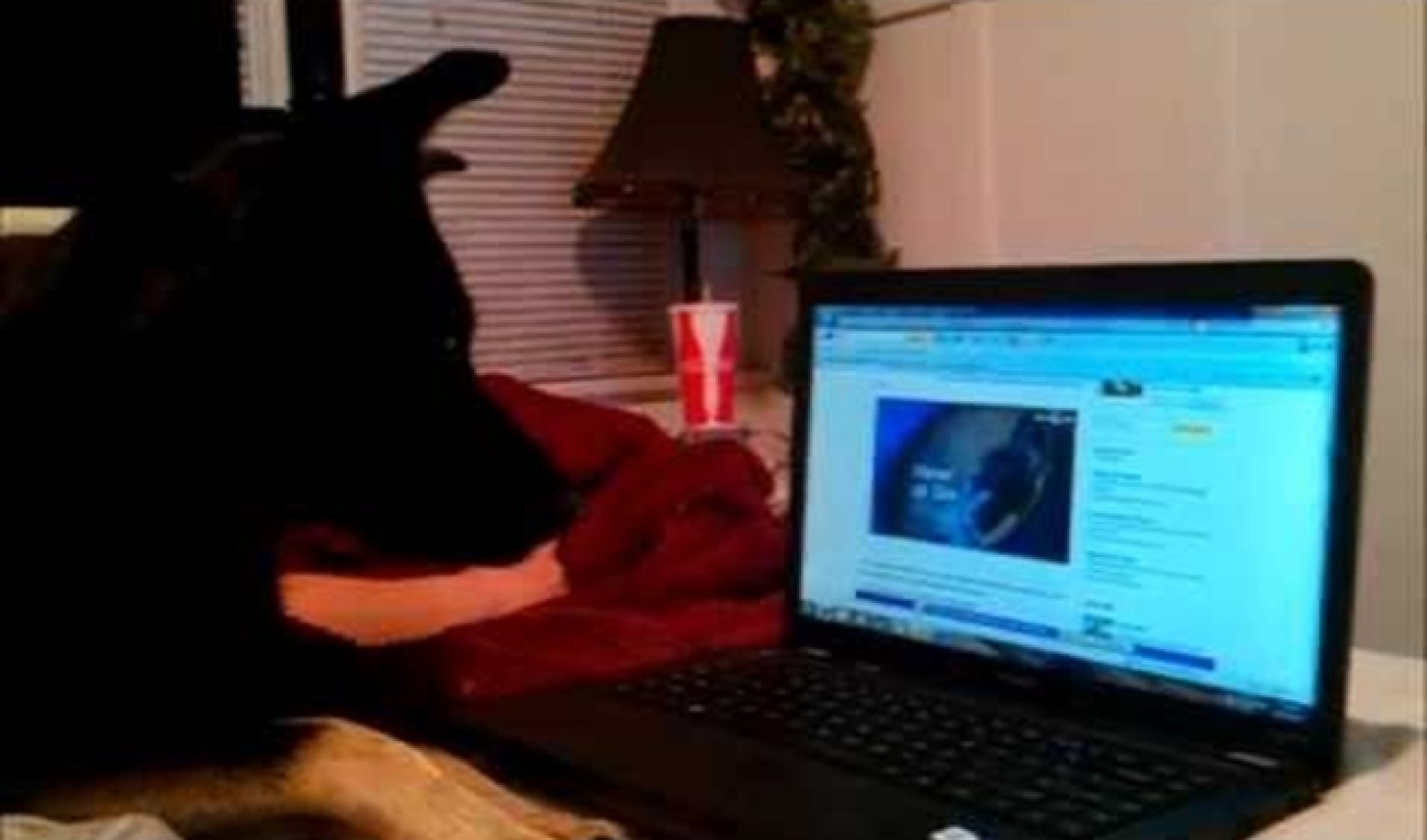 Yahoo Back into Second Place (Behind YouTube) in Latest Online Video Rankings