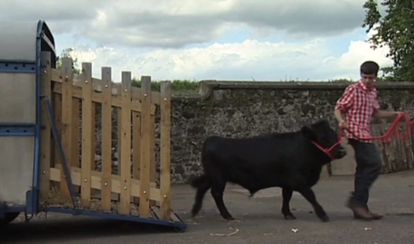 Guinness World Records Introduces Us To Tall Dogs & Dunking Parrots