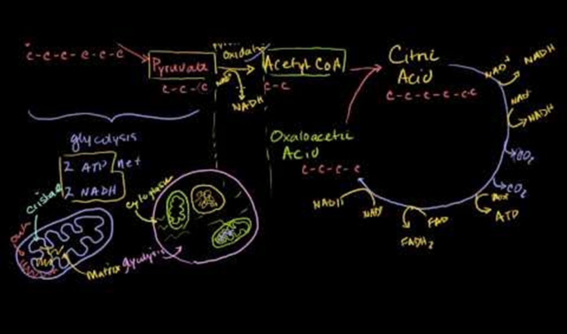 YouTube Goes Back to School In Search Of Next Generation of Educators