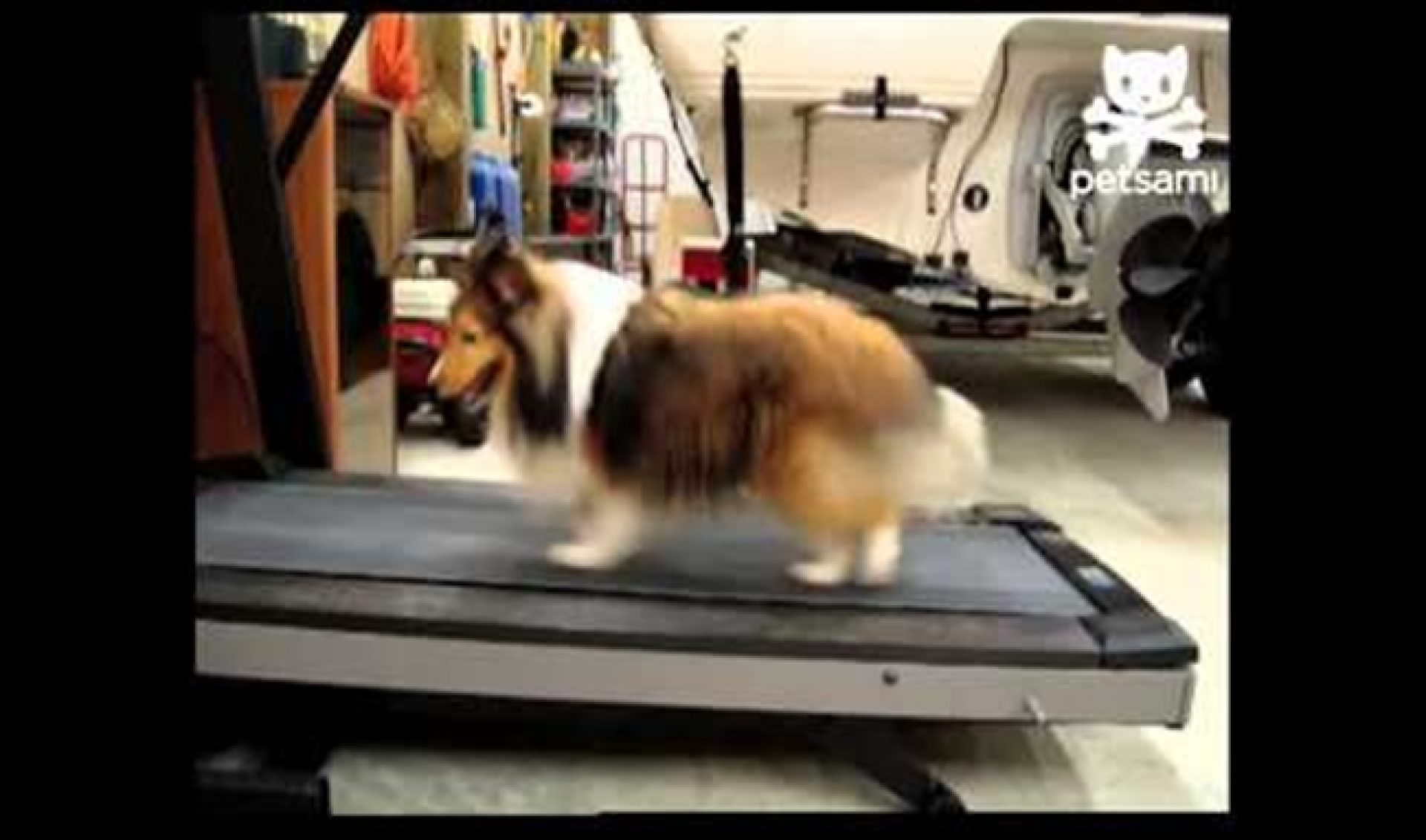 How Fishbowl Turned ‘America’s Funniest Videos’ Into a YouTube Empire