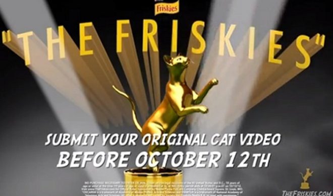 Michael Buckley To Host The Friskies, An Awards Show For Cat Videos