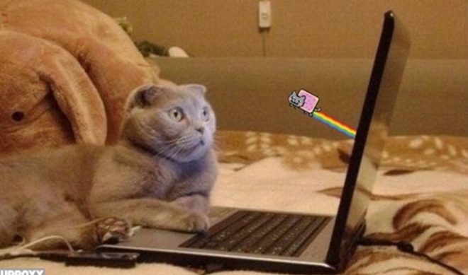 November ComScore Rankings Released; Should Google Be Worried?