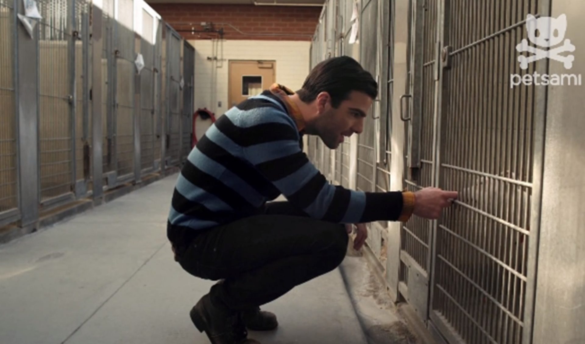 Zachary Quinto’s Short Film Comes To Fishbowl’s PETSAMI