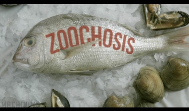 ‘Zoochosis’ Is The Most WTF Machinima Prime Show Ever