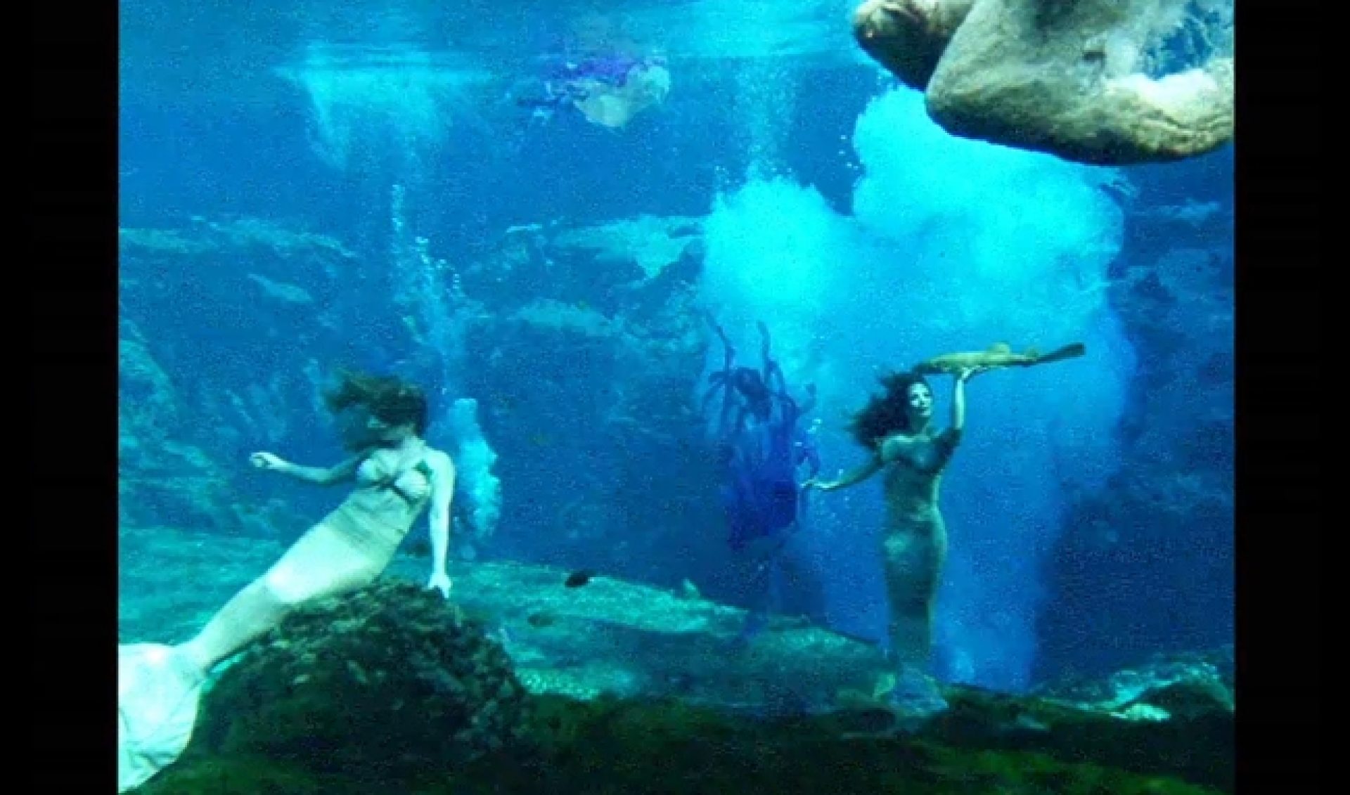 Must-Watch Music Videos: Hundred Waters Live In a ‘Boreal’ Fantasy