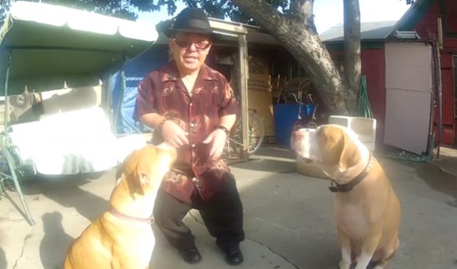 Animal Planet Upping Web Presence With Several Web Series