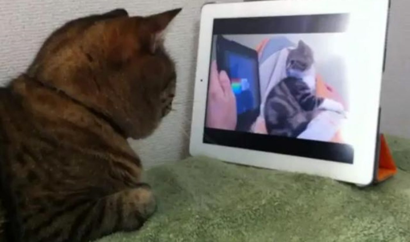 Fullscreen First Indie YouTube Network With 40+ Million Viewers Per Month