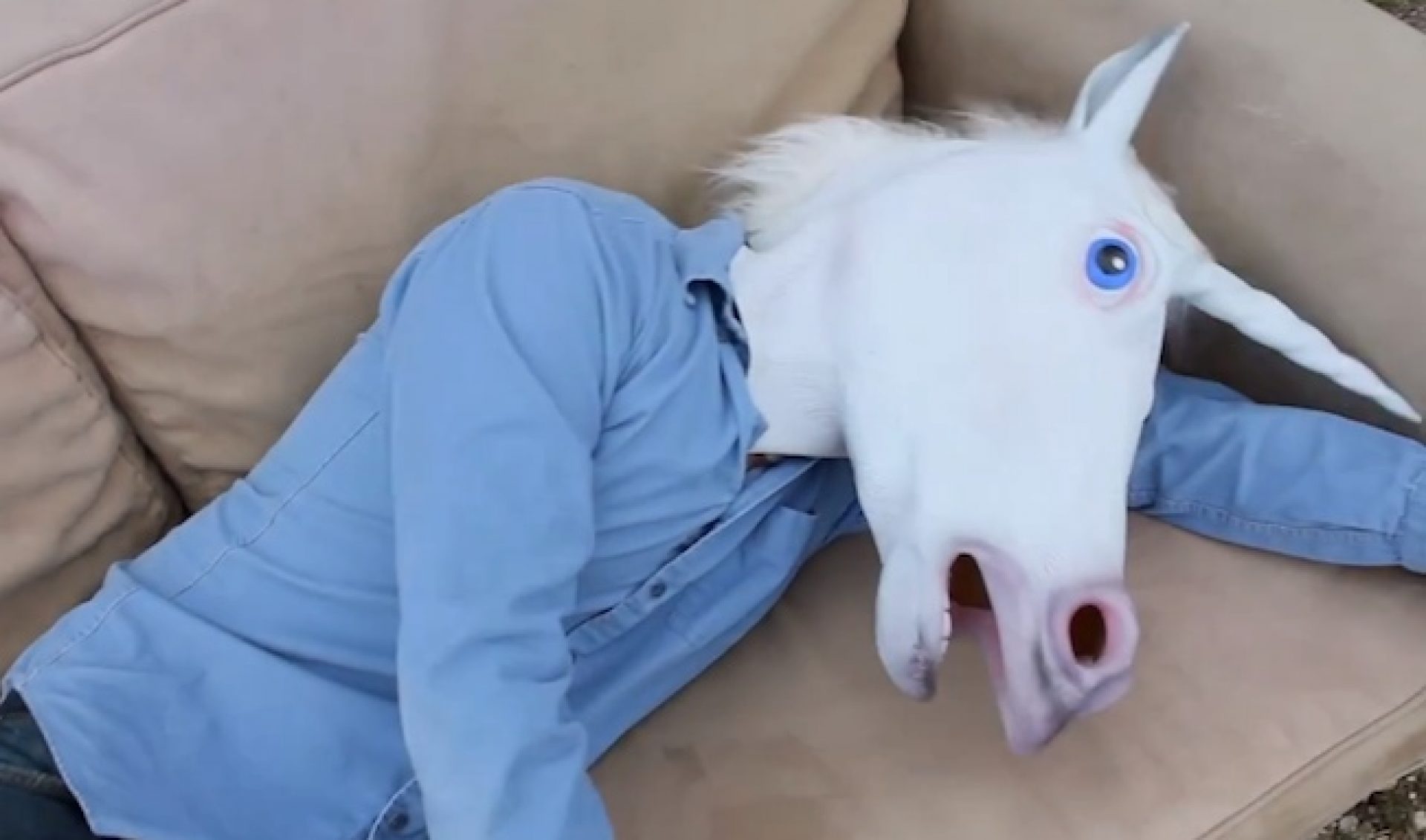 Must-Watch Music Videos: Antennas Up Combines Kafka With A Unicorn
