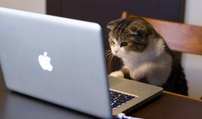 Online Video Advertising Now Up To 13.2 Billion Monthly Views