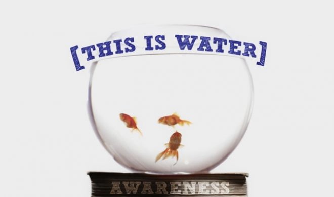 ‘This Is Water’ Is Your Cool Video Of David Foster Wallace Of The Day