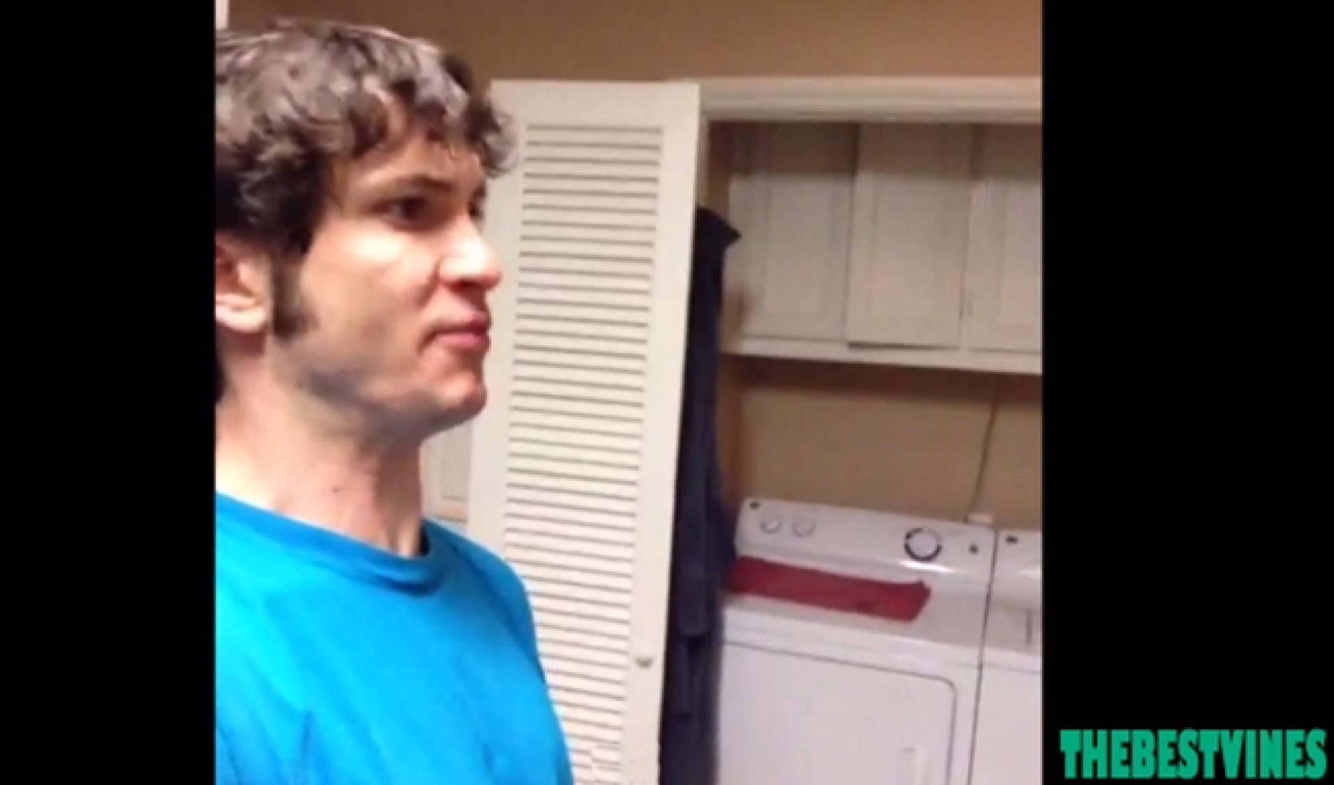 ‘The Best Vines’ Is A Crowdsourced Version Of ‘5 Second Films’