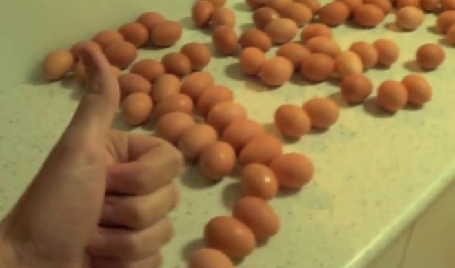 YouTube Millionaires: How To Basic Breaks Out Of His Shell