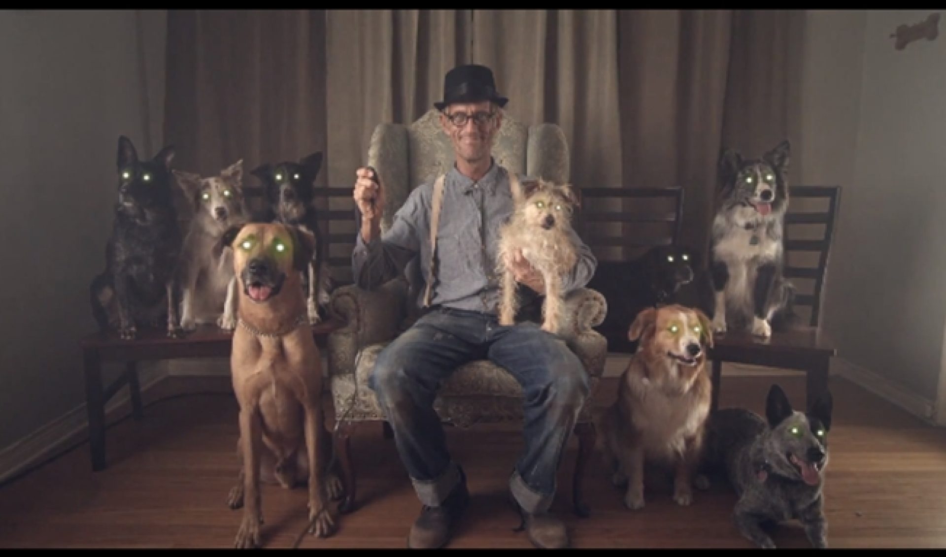 Must-Watch Music Videos: Reptar Lets Dogs Out For ‘Houseboat Babies’