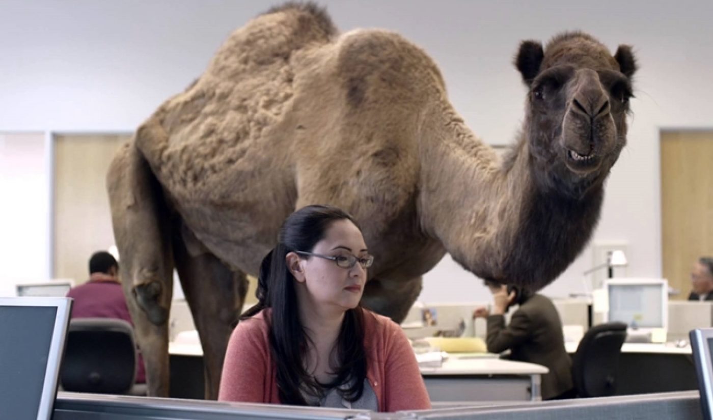 Geico’s Hump Day Ad Gets Two Thirds Of Its Shares On Wednesday