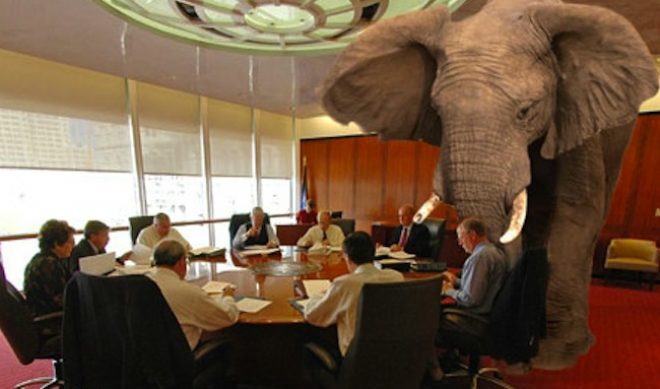 Poaching Talent: The Elephant In The Room On YouTube