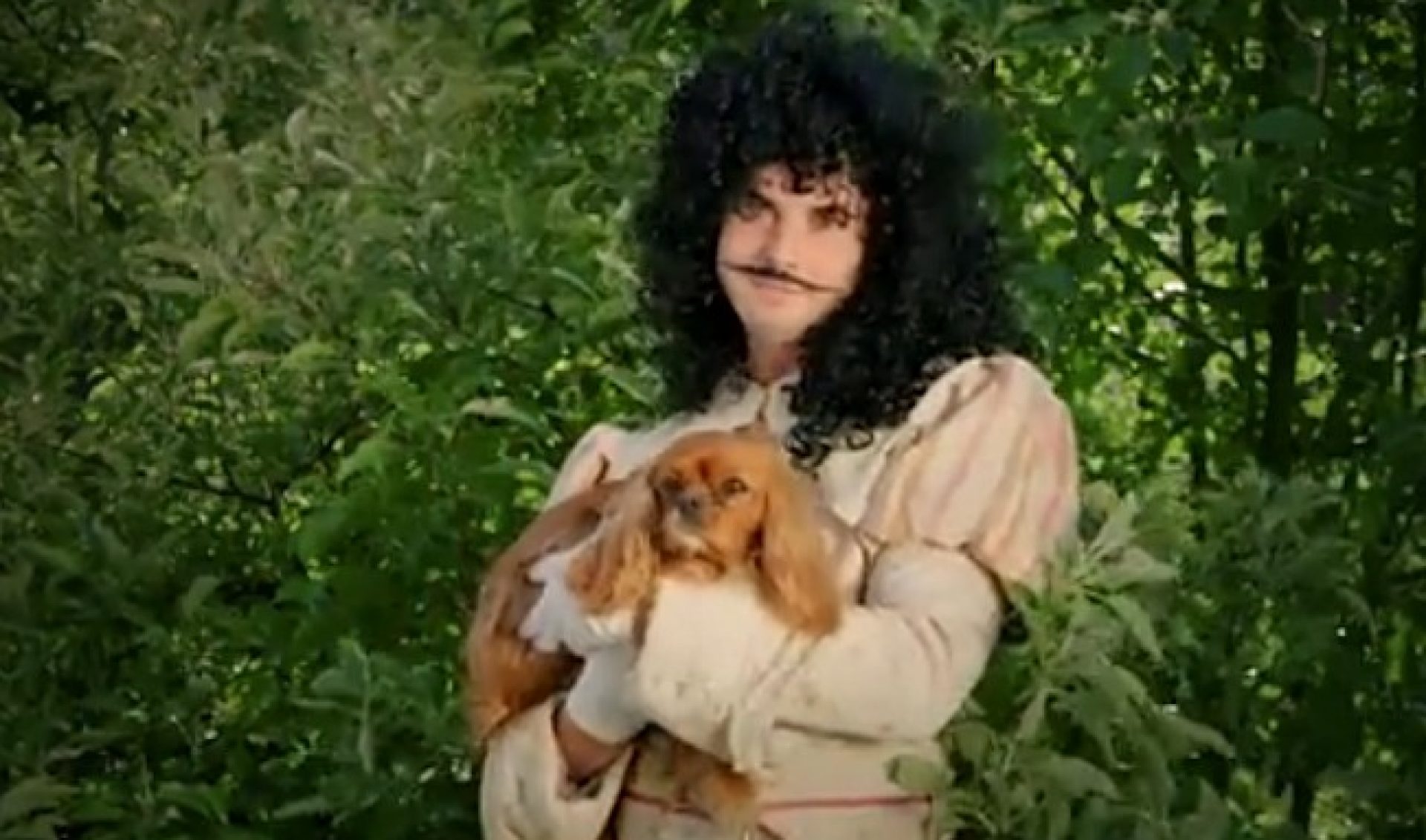 ‘Sh*t Girls Say’ Creator’s New Web Series Stars Dogs With Pedigrees