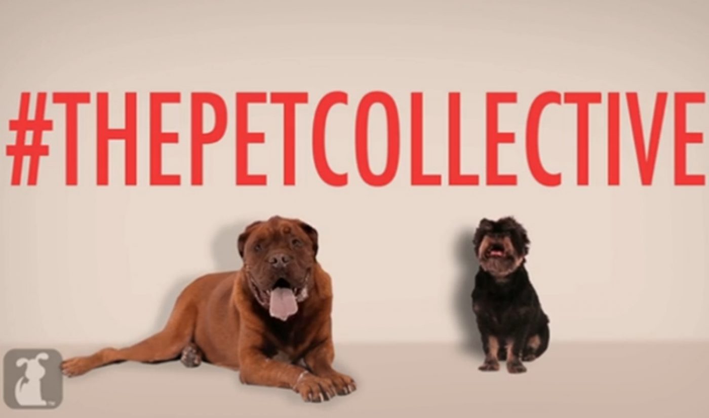 Pet Collective Combines Originals With Cute Animals On New Website