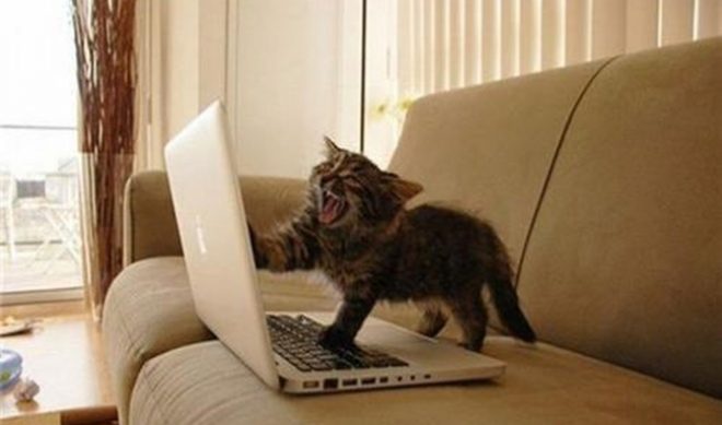 Online Video Views Rose By Nearly Four Million Between June And July