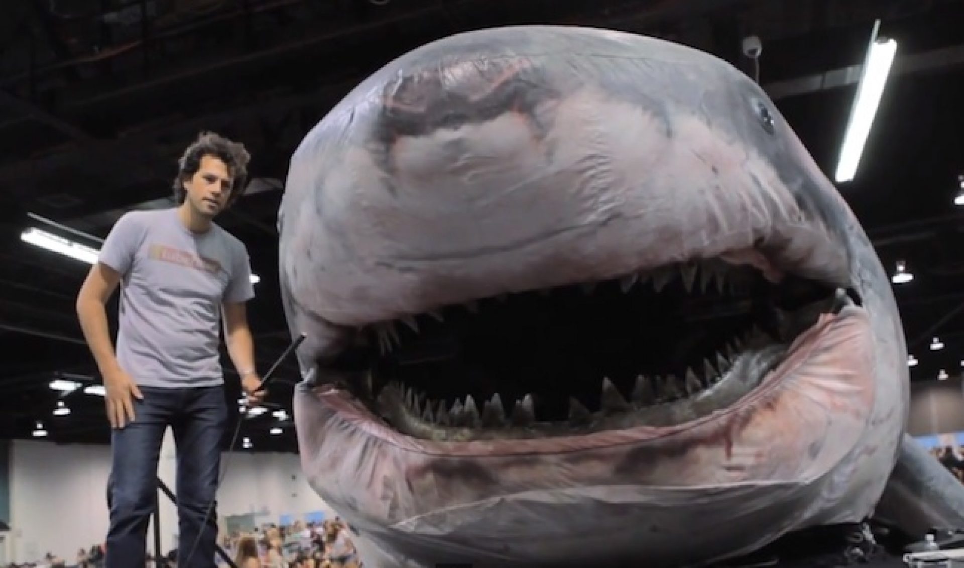 An Interview With Sharkzilla AKA The Shark From Shark Week
