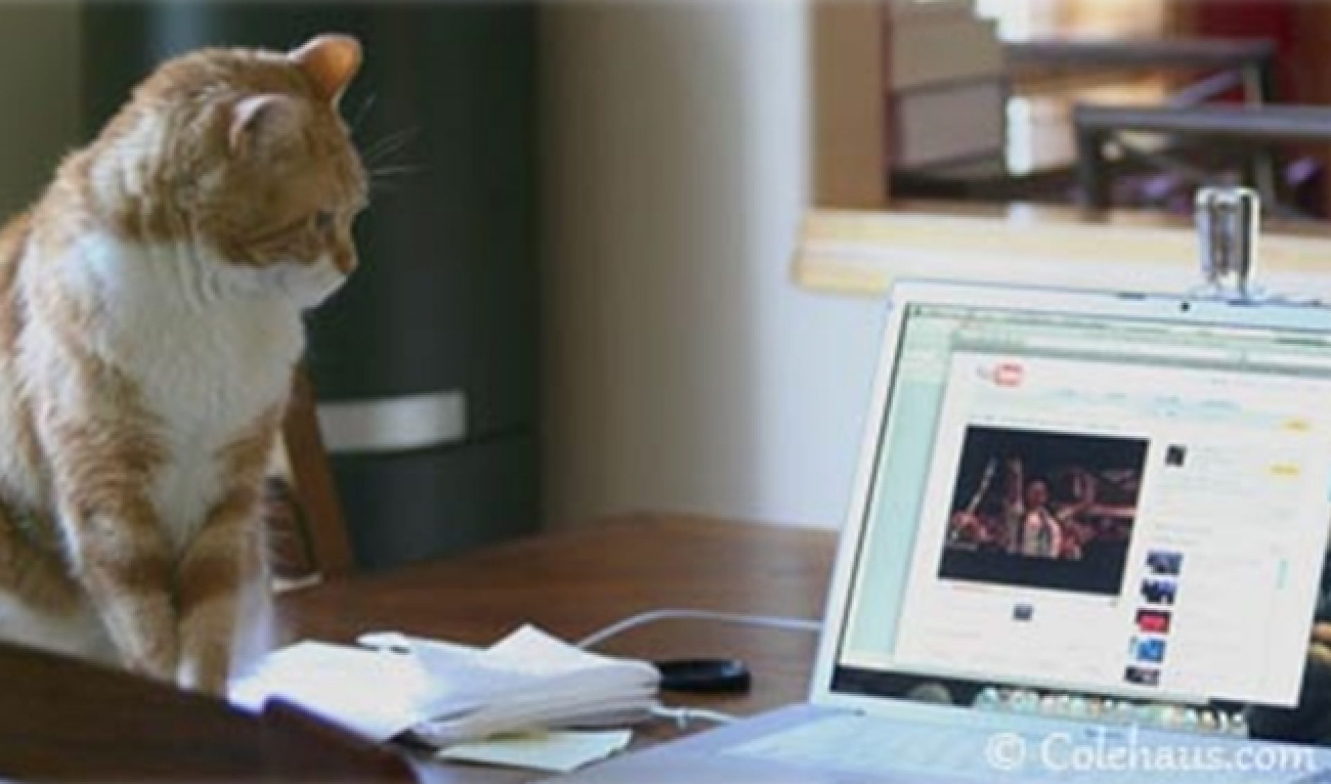 AOL In Second Place In Online Video Rankings With 71 Million Uniques