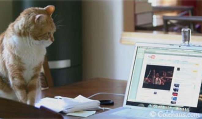 AOL In Second Place In Online Video Rankings With 71 Million Uniques