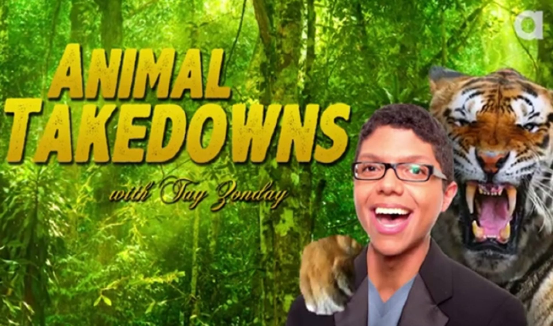 Discovery’s Latest Online Vertical Is Pet-Powered Animalist