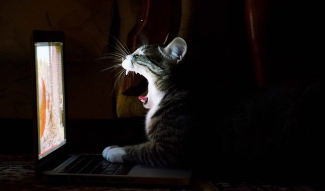 Americans Watched 49 Billion Online Videos In October 2013