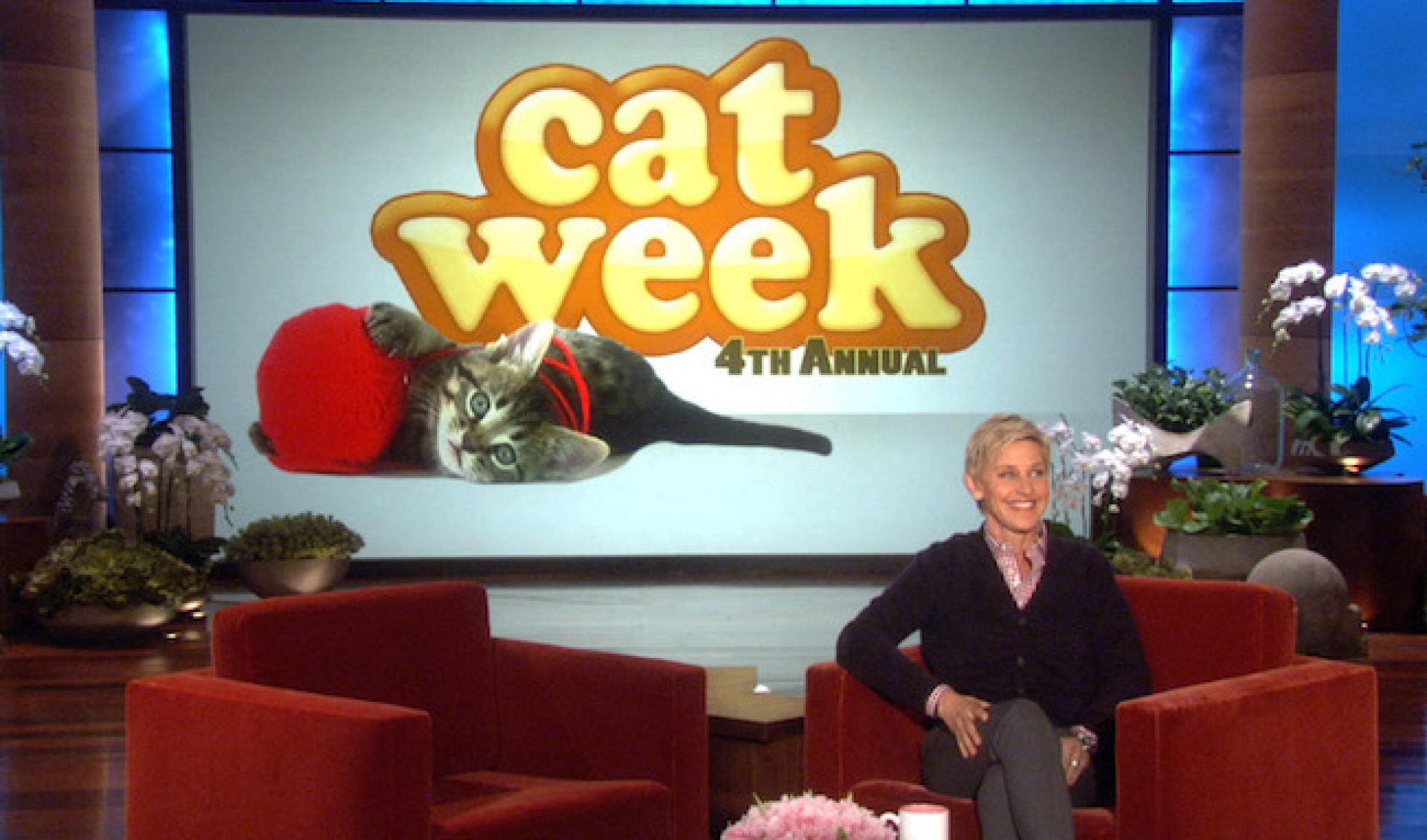 Top 50 Most Viewed U.S. YouTube Channels • Week Of 11/01/13