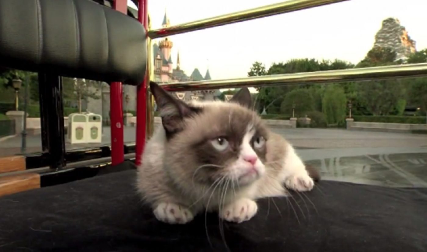 Grumpy Cat Goes To Disneyland