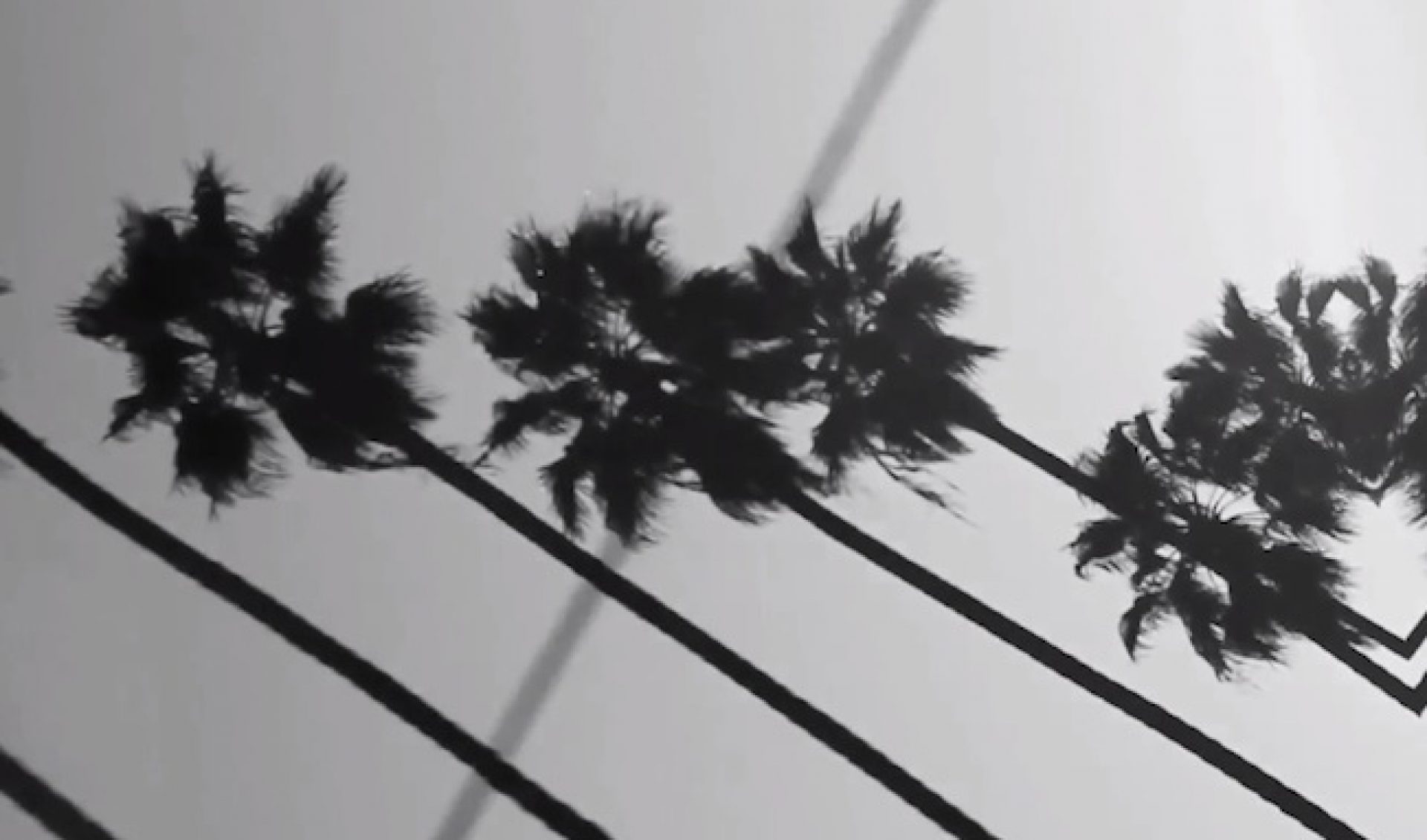 Must-Watch Music Videos: The Last Royals Beautifully Hate California