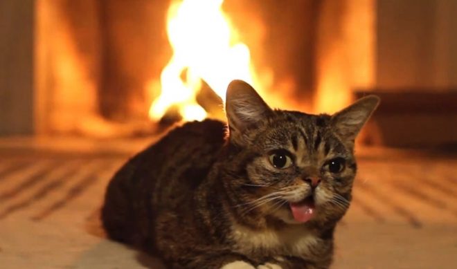 Warm Up Your Home On Christmas With YouTube Yule Logs