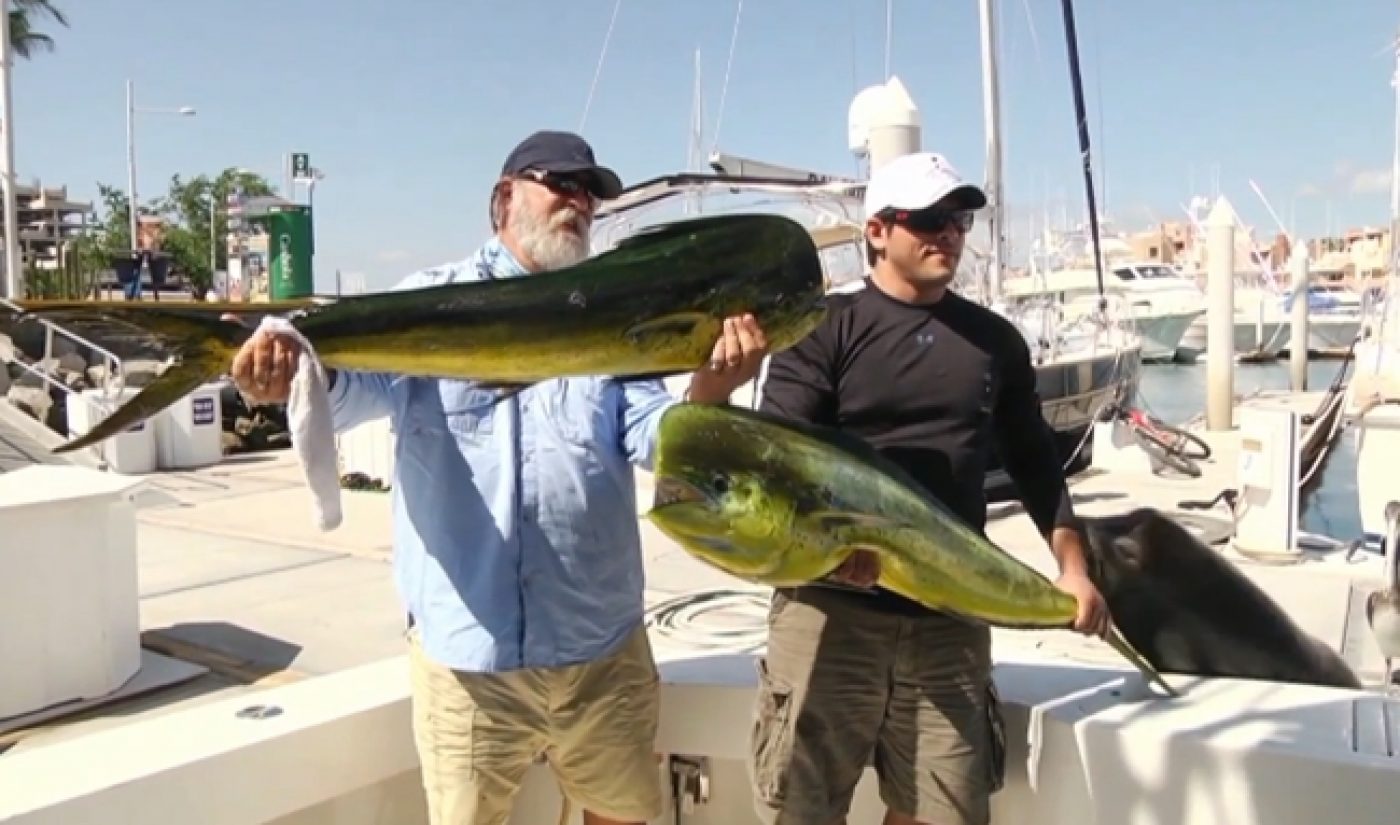 Here Are The Best Wins And Fails Of 2013