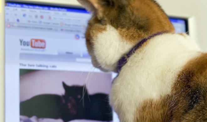 Are You In The Top 95th Percentile Of YouTube Trendspotters?