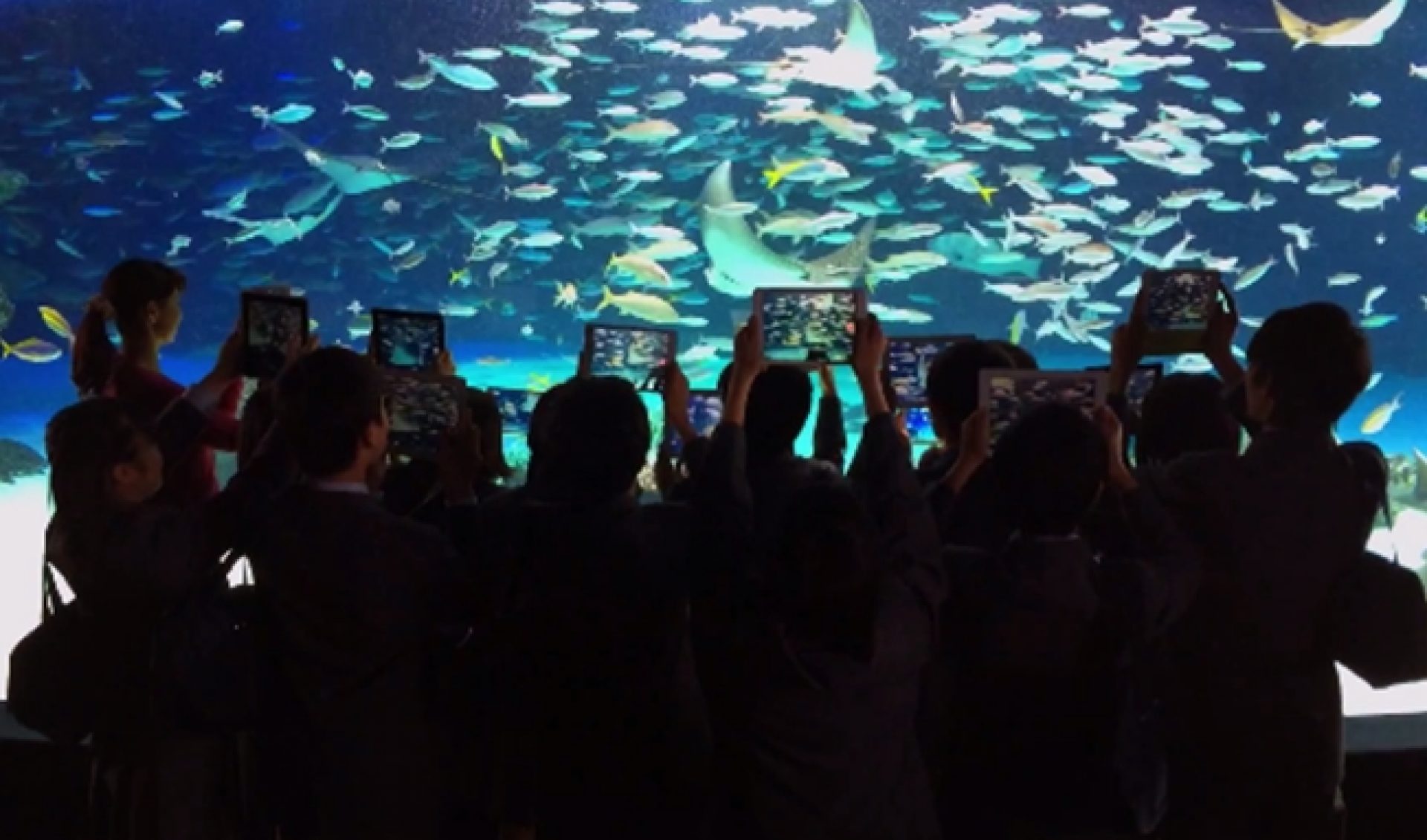 30 Years After ‘1984’, Apple’s New Ad Is Shot In A Day, On iPhones