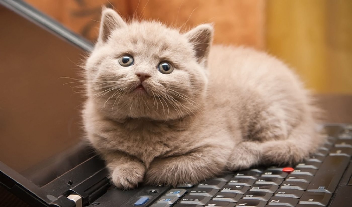 ZEFR Up To Second Behind VEVO In Latest Comscore Online Video Rankings