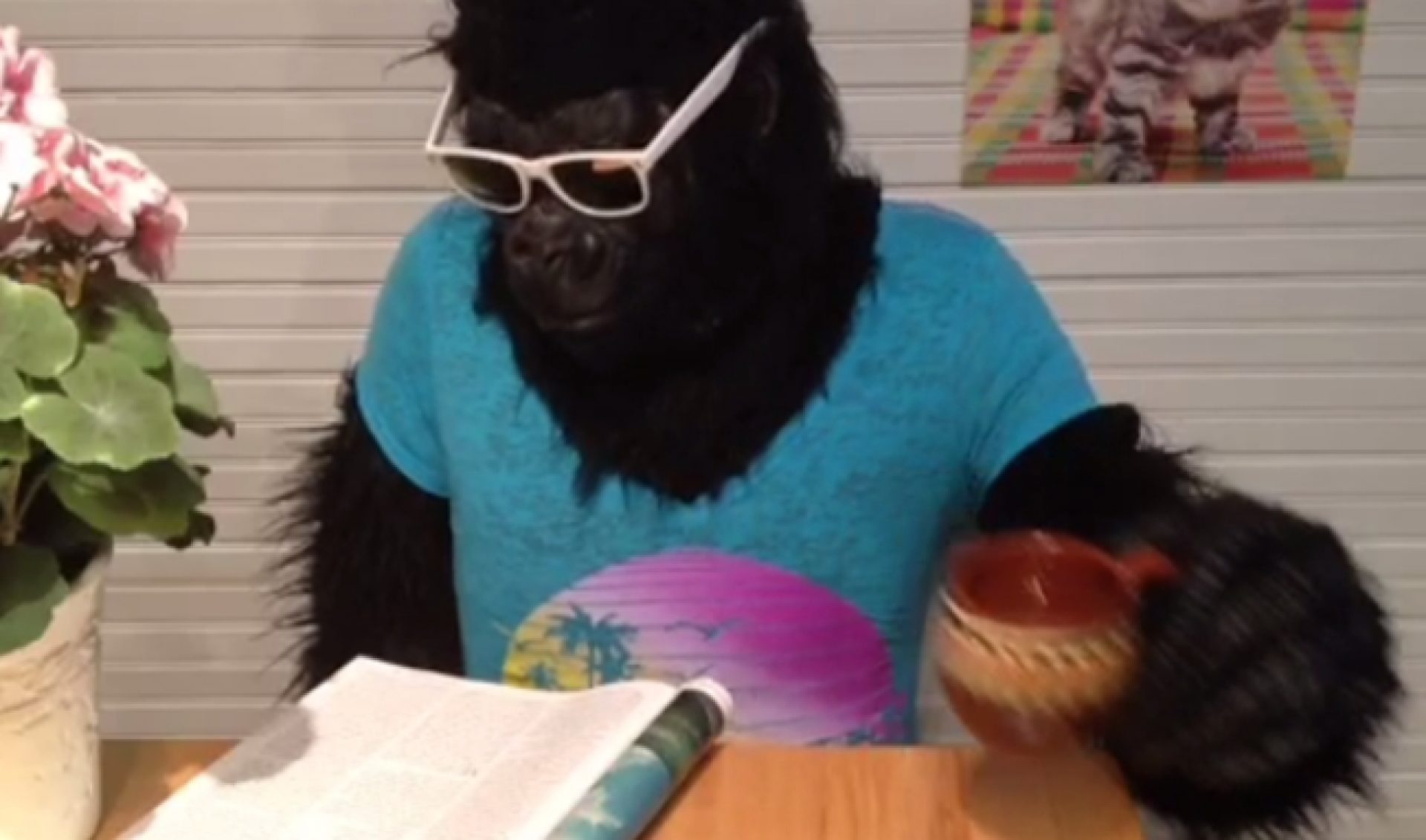 Here Are The Five Winners Of Tribeca Film’s #6SecFilms Vine Contest