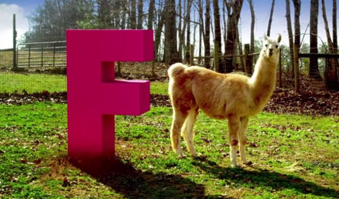 Univision’s Flama Aims For Latino Viewers With Snazzy New Website