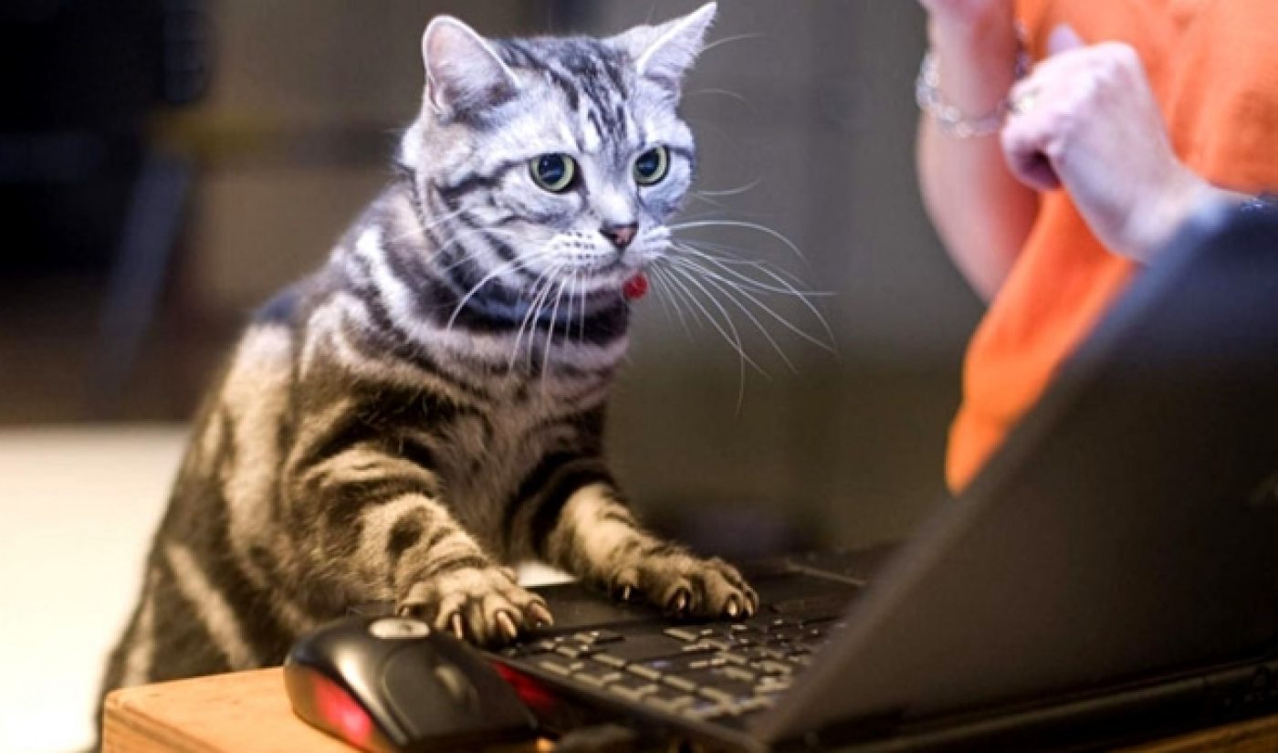 Zoomin.TV Soars In Online Video Rankings, Launches In The US