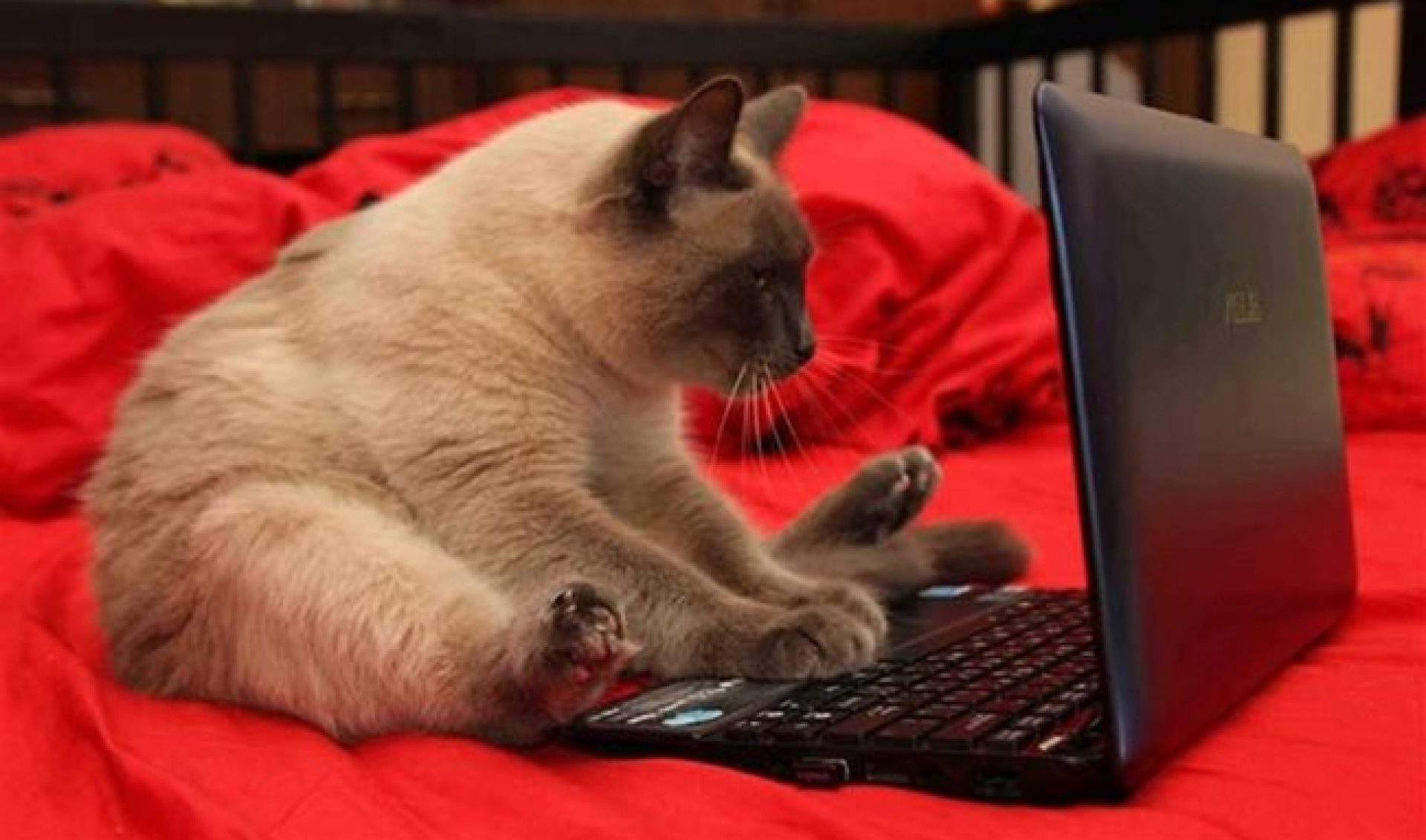 Machinima Back In Comscore Rankings For First Time In Ten Months