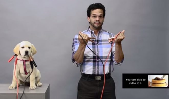 Ad Agency’s Self-Aware Pre-Roll Ad Gets Watched 26% Of The Time