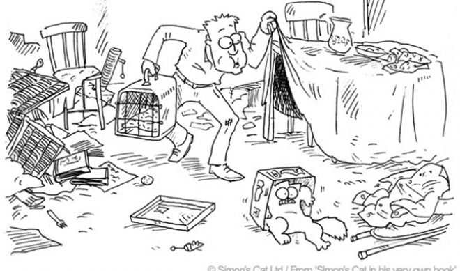 Fund This: ‘Simon’s Cat’ Seeks £275,850 For Biggest Adventure Yet