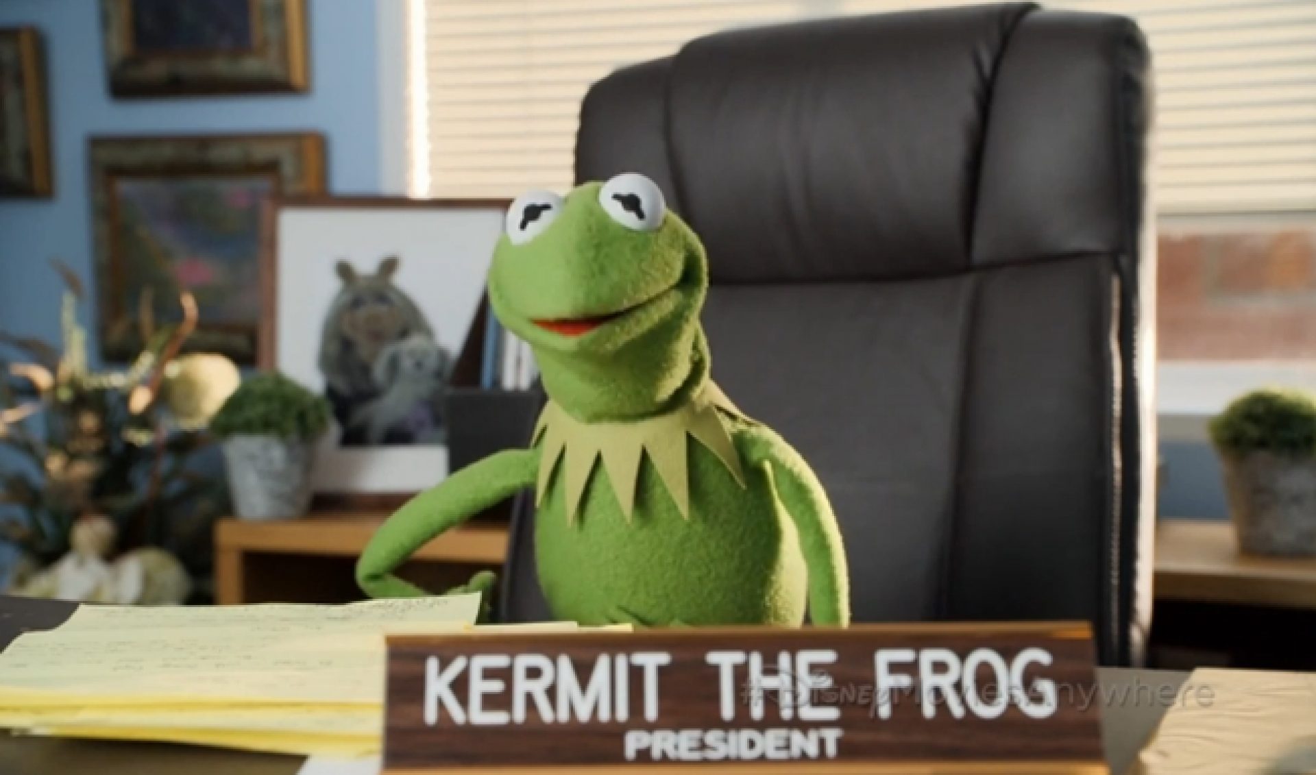Disney Celebrates Muppets Home Video Release With New Web Series