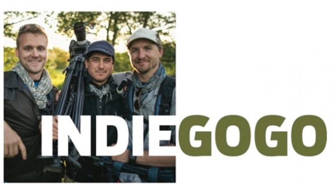 Indiegogo’s Marc Hofstatter Talks $7 Million Worth Of YouTube Projects [INTERVIEW]