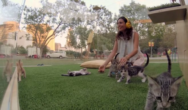 SoulPancake Gives Hands-On Kitten Therapy To Stressed-Out LA Citizens