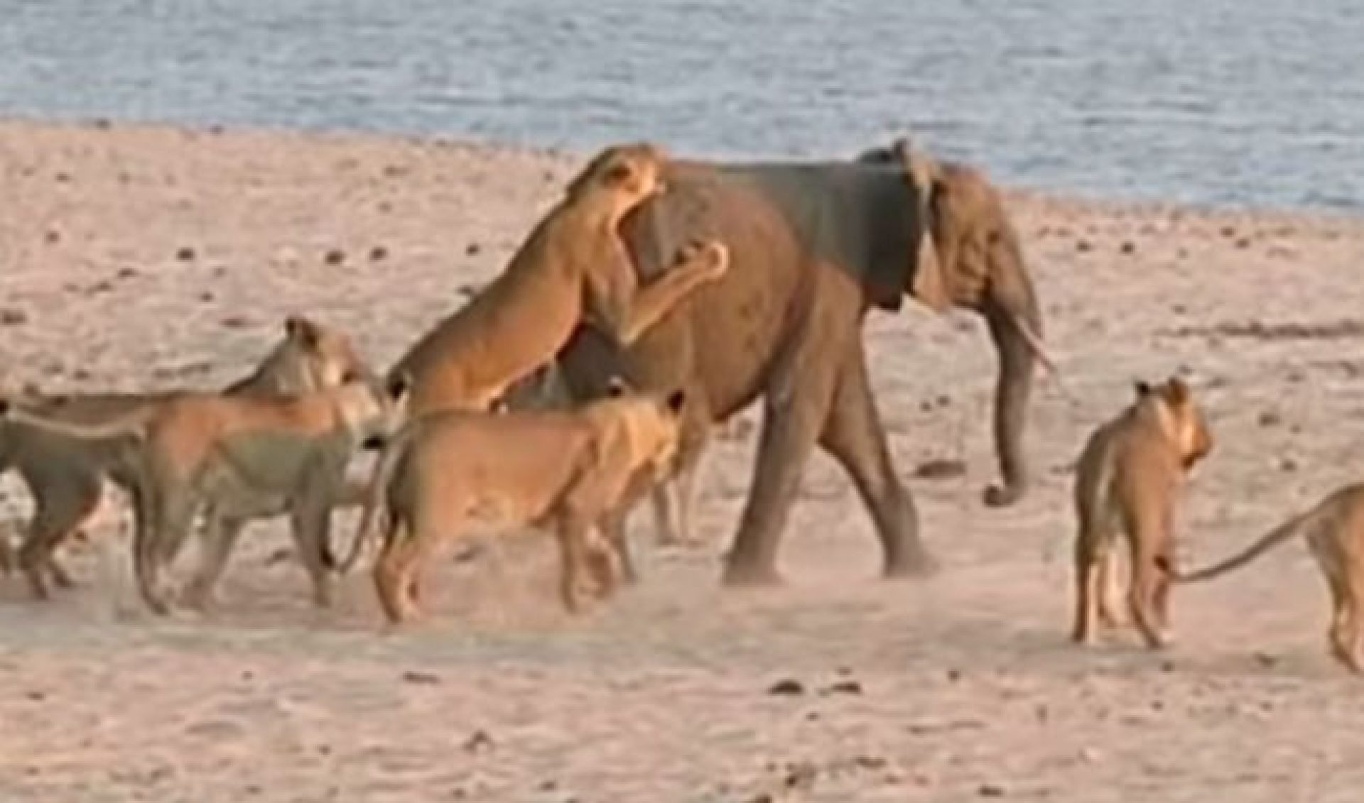 Top 50 Most Viewed U.S. YouTube Channels • Week Of 11/21/14