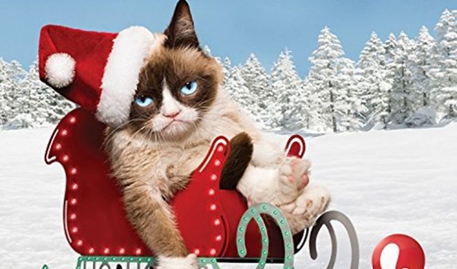 ‘Grumpy Cat’ Trailer Scores 1.4 Million Views, 5300 Dislikes In 3 Days